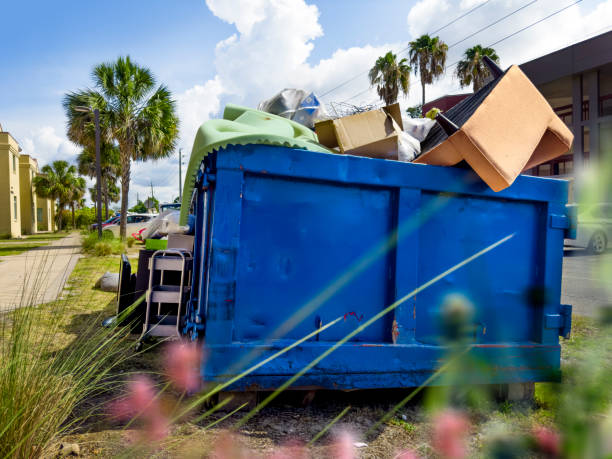 Best Basement Cleanout  in Drexel Heights, AZ